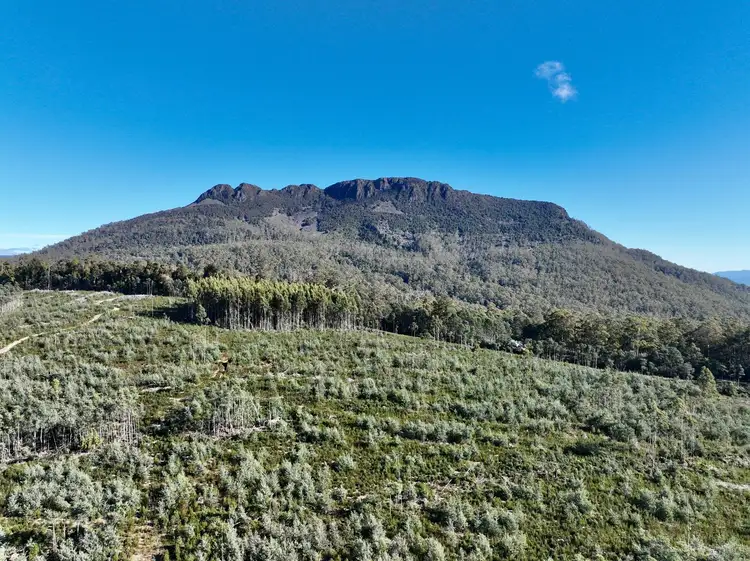 Second view of Homely land listing, Lot 1 Highland Lakes Road, Golden Valley TAS 7304