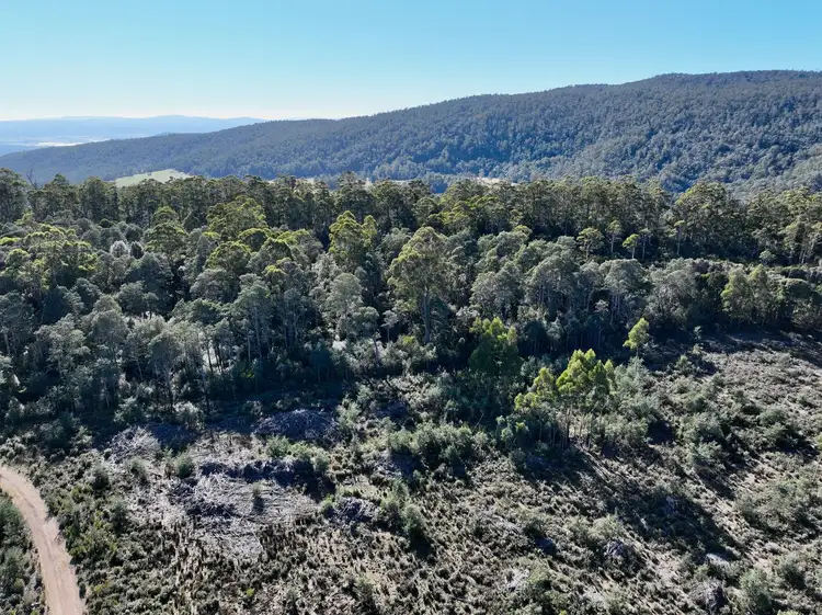 Third view of Homely land listing, Lot 1 Highland Lakes Road, Golden Valley TAS 7304