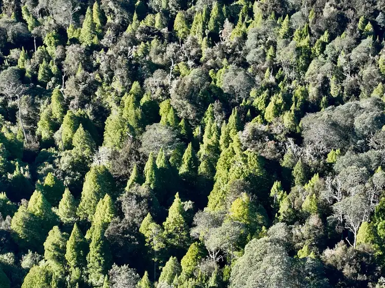 Sixth view of Homely land listing, Lot 1 Highland Lakes Road, Golden Valley TAS 7304