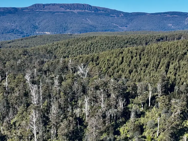 Seventh view of Homely land listing, Lot 1 Highland Lakes Road, Golden Valley TAS 7304