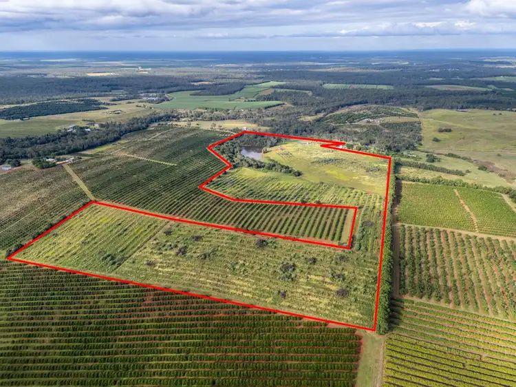 Fourth view of Homely rural property listing, 82 Framptons Road, North Isis QLD 4660