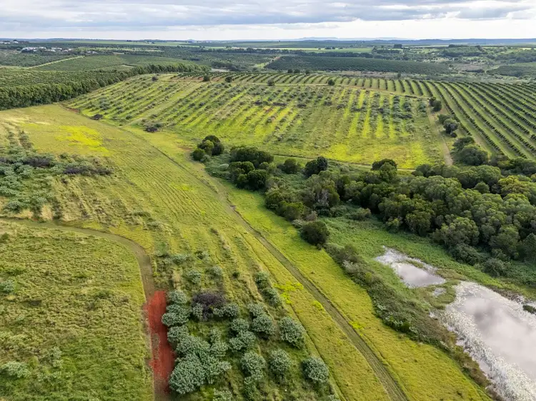 Seventh view of Homely rural property listing, 82 Framptons Road, North Isis QLD 4660