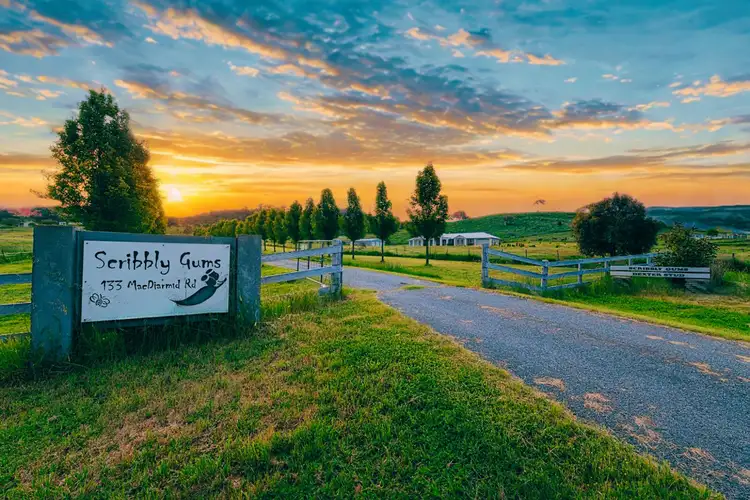 133 Macdiarmid Road, Burra NSW 2620