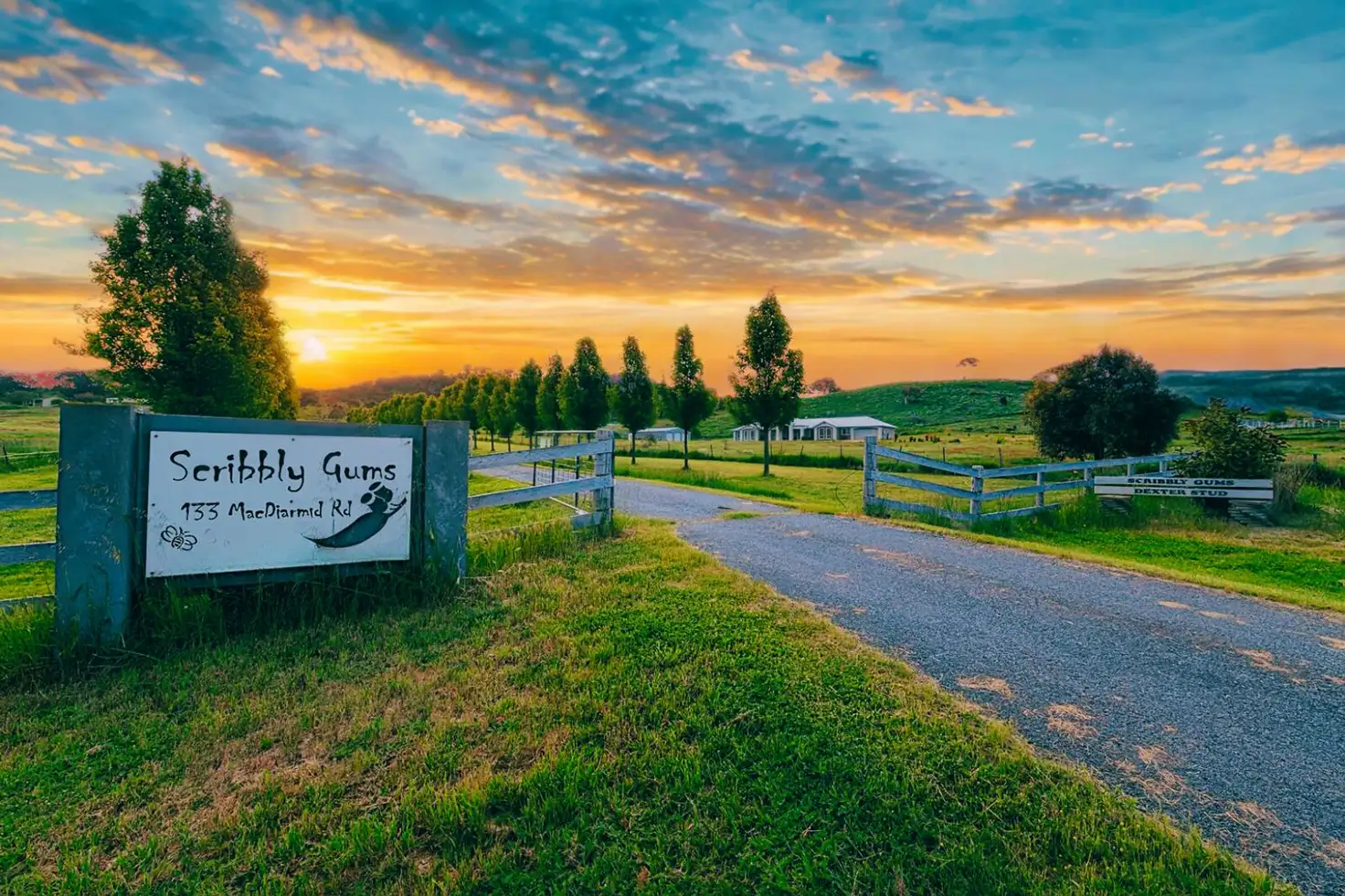 Main view of Homely house listing, 133 Macdiarmid Road, Burra NSW 2620