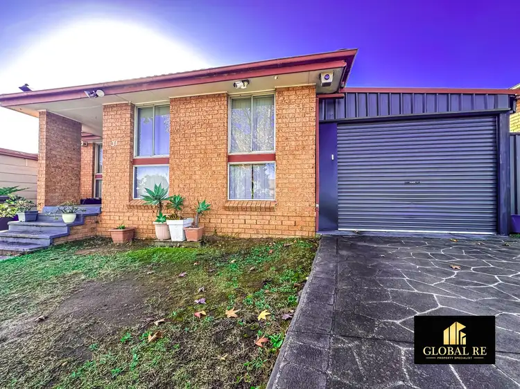 31 Ohlfsen Road, Minto NSW 2566