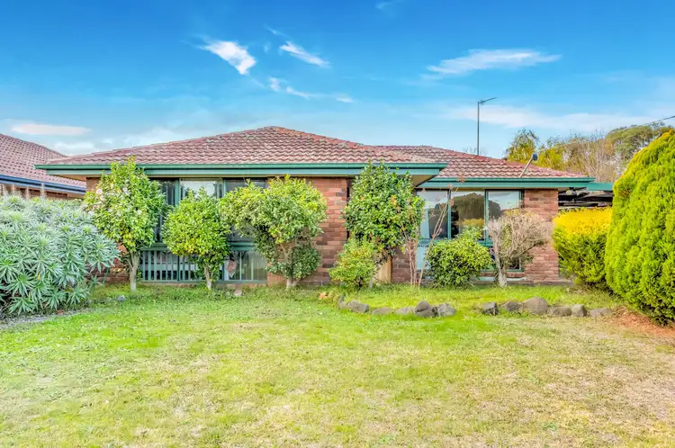 31 Morgan Drive, Traralgon VIC 3844