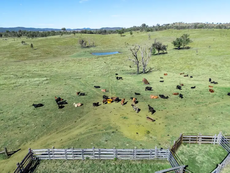 Fifth view of Homely rural property listing, Lot 24 Gayndah Mount Perry Road, Mount Steadman QLD 4625