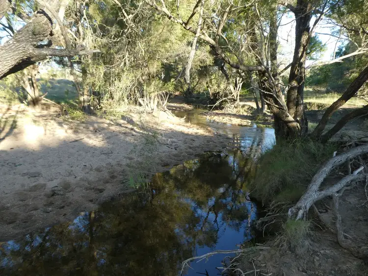 Seventh view of Homely rural property listing, Lot 24 Gayndah Mount Perry Road, Mount Steadman QLD 4625