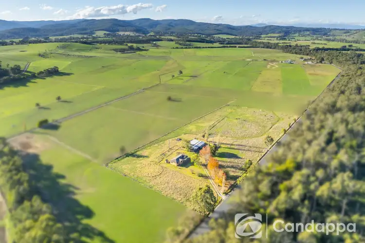 Second view of Homely house listing, 135 Jacksons Track, Labertouche VIC 3816