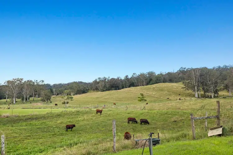 Second view of Homely rural property listing, 1036 Jiggi Road, Jiggi NSW 2480