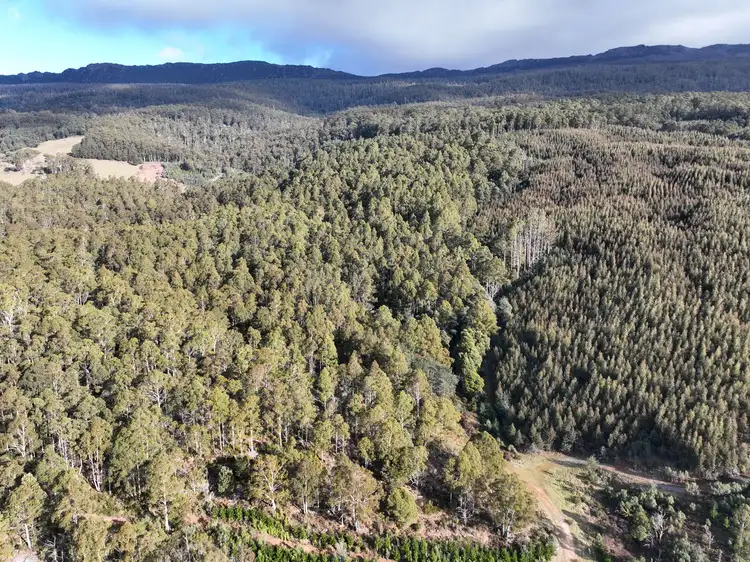0 Azels Road, Mole Creek TAS 7304