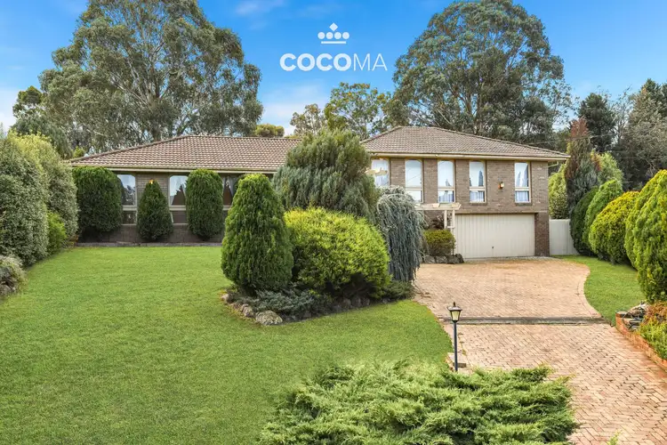 11 Renmark Court, Vermont South VIC 3133