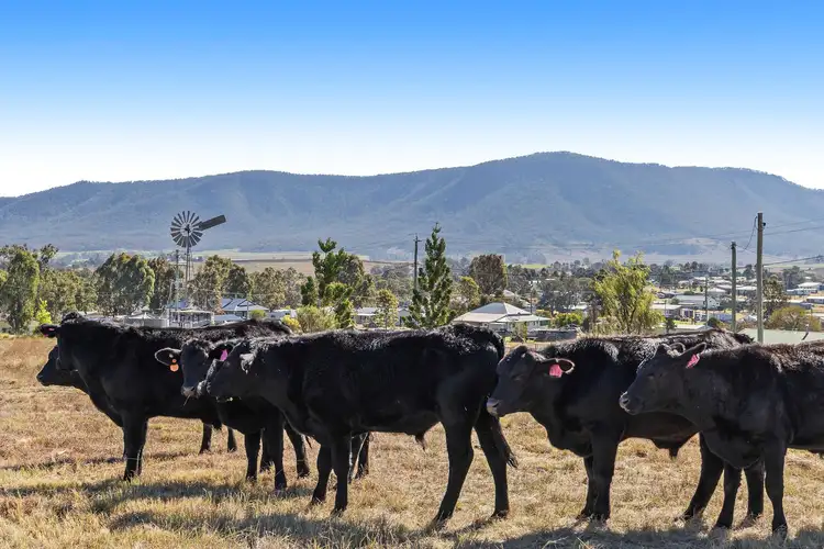 Fourth view of Homely rural property listing, 42 Murray Street, Maryvale QLD 4370