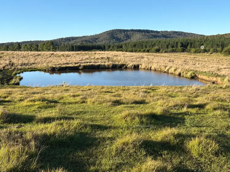 1556 Old Lawrence Road, Deep Creek NSW 2469