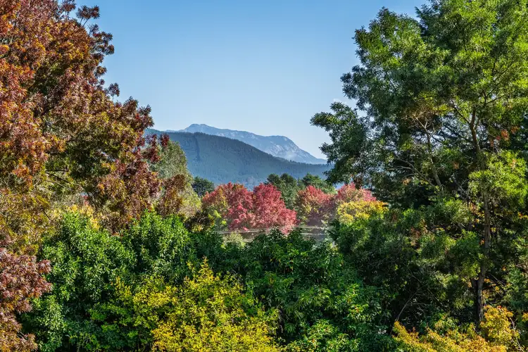 Fourth view of Homely house listing, 22 Alrima Court, Bright VIC 3741