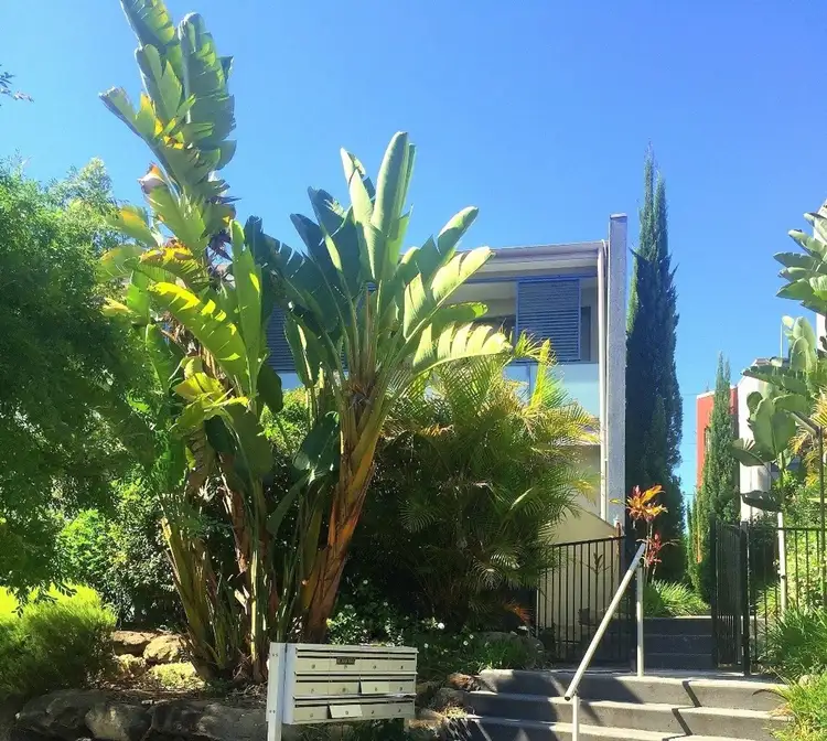 Main view of Homely townhouse listing, 11/84 Woodlands Drive, Glenmore Park NSW 2745
