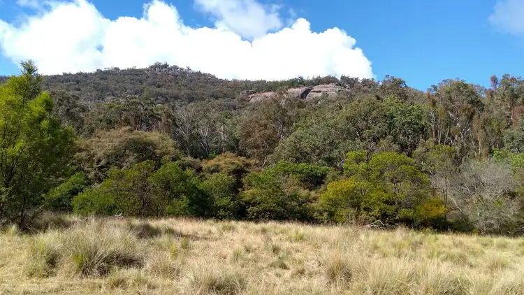 Second view of Homely rural property listing, 307 Brushabers Road, Jennings NSW 4383