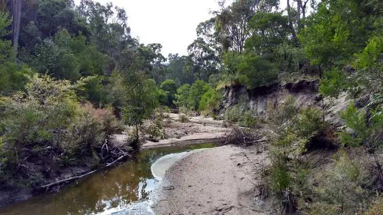 Fourth view of Homely rural property listing, 307 Brushabers Road, Jennings NSW 4383