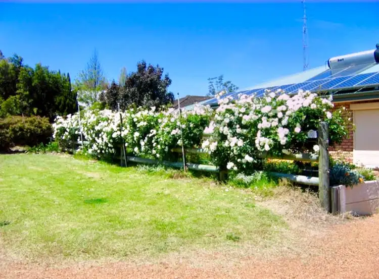 Fifth view of Homely house listing, 11 Iseppi Street, Waroona WA 6215