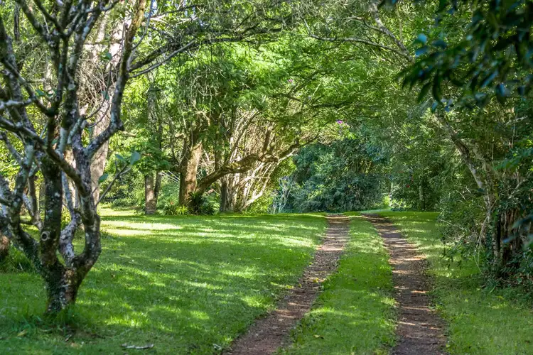 Third view of Homely house listing, 191 Fletcher Road, Dunoon NSW 2480