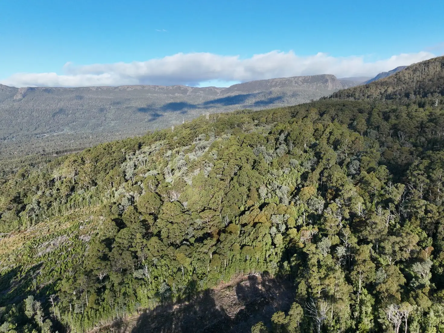 Main view of Homely land listing, Lot 1 Western Creek Road,, Western Creek TAS 7304