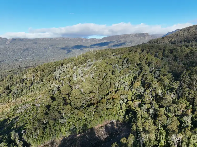 Third view of Homely land listing, Lot 1 Western Creek Road,, Western Creek TAS 7304