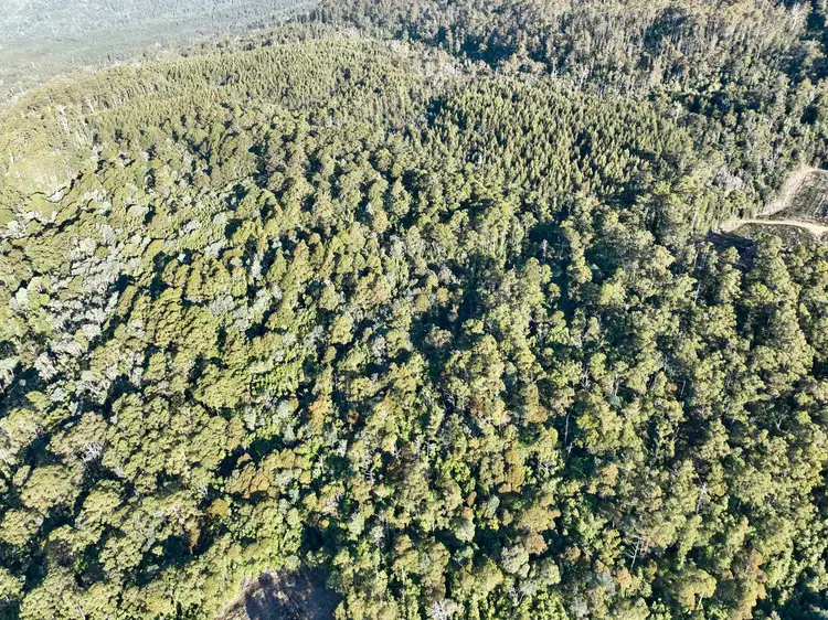 Fourth view of Homely land listing, Lot 1 Western Creek Road,, Western Creek TAS 7304