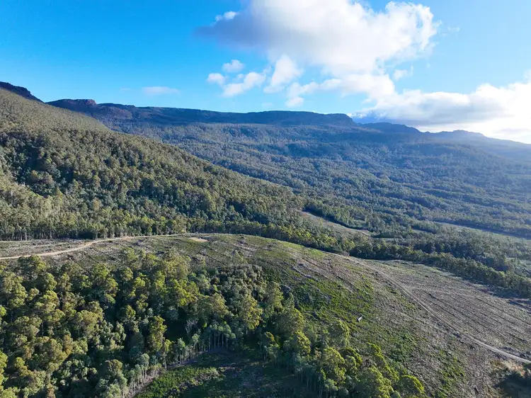 Fifth view of Homely land listing, Lot 1 Western Creek Road,, Western Creek TAS 7304