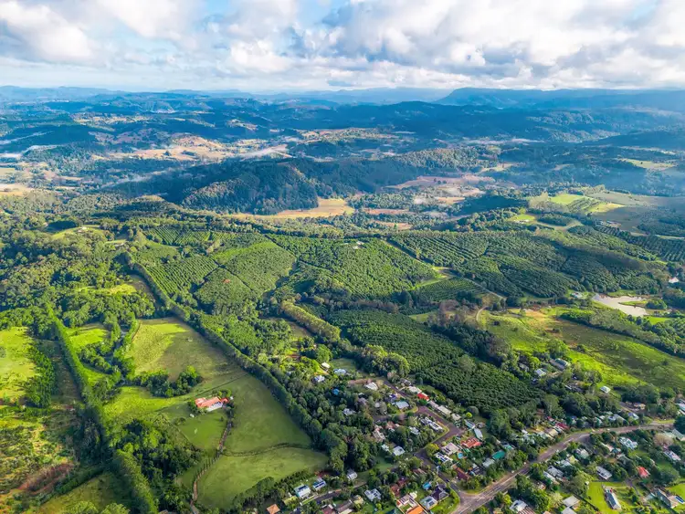 Third view of Homely rural property listing, 181 Munro Road, Dunoon NSW 2480