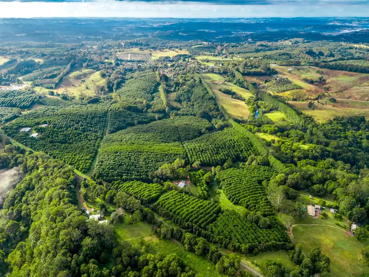 Fifth view of Homely rural property listing, 181 Munro Road, Dunoon NSW 2480