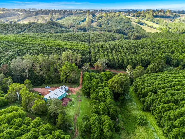 Sixth view of Homely rural property listing, 181 Munro Road, Dunoon NSW 2480