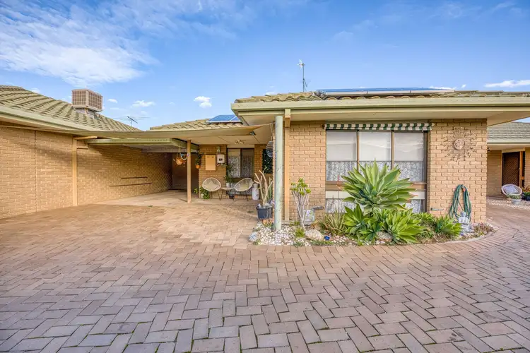 13 Plant Court