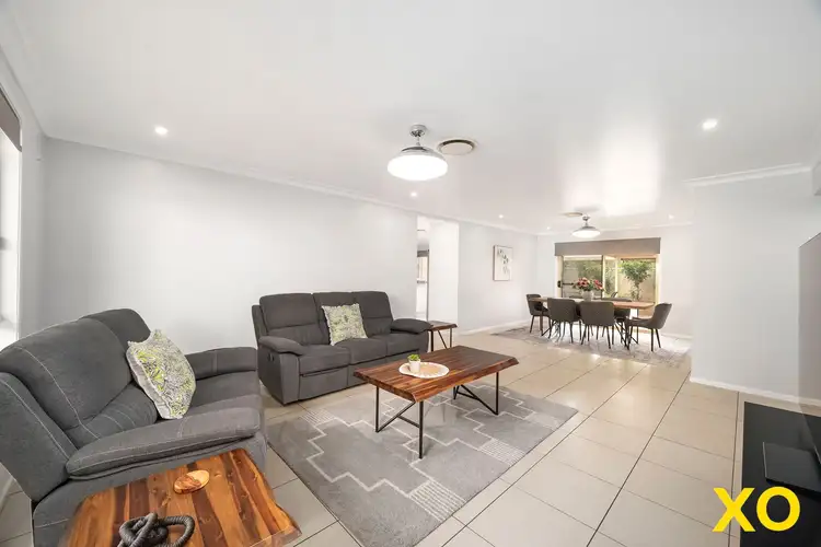 Second view of Homely house listing, 17 Falkiner Crescent, Singleton NSW 2330