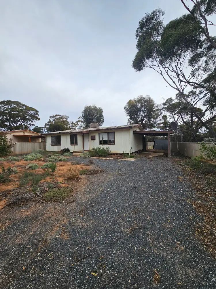 113 Goodliffe Street, Norseman WA 6443