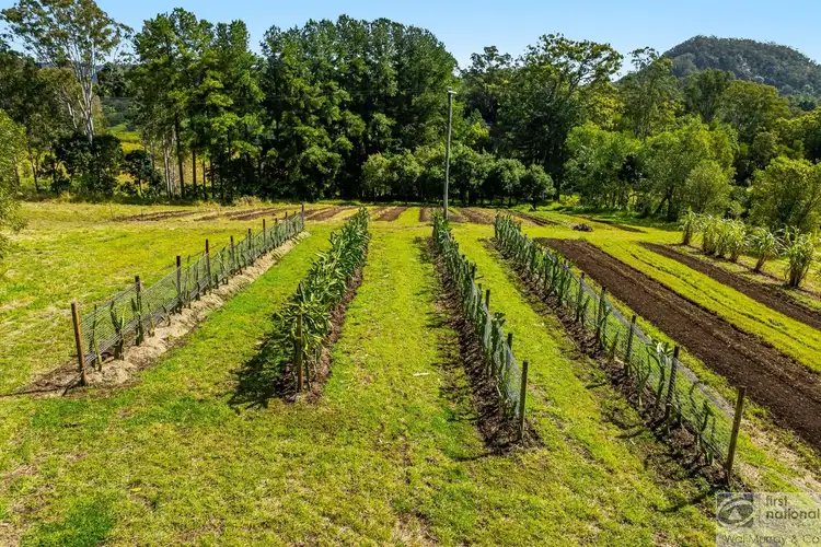 Second view of Homely house listing, 446 Gwynne Road, Georgica NSW 2480