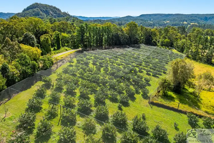 Third view of Homely house listing, 446 Gwynne Road, Georgica NSW 2480