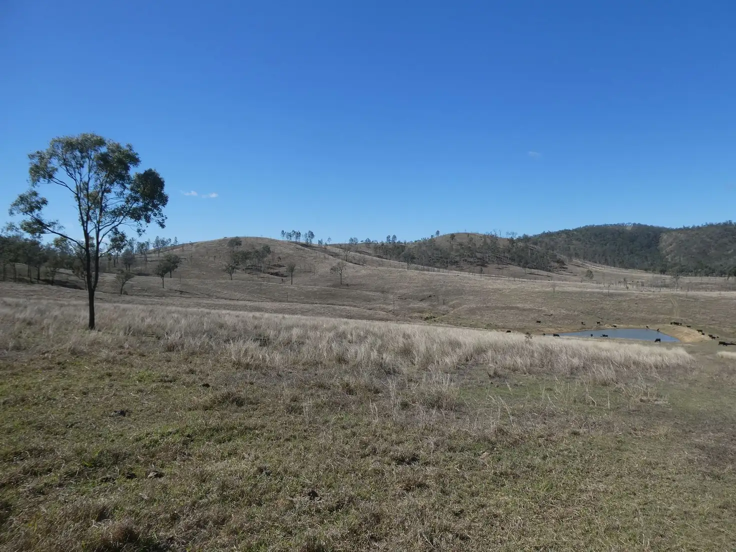 Main view of Homely rural property listing, NRN Monto Mount Perry Road, Mungy QLD 4671
