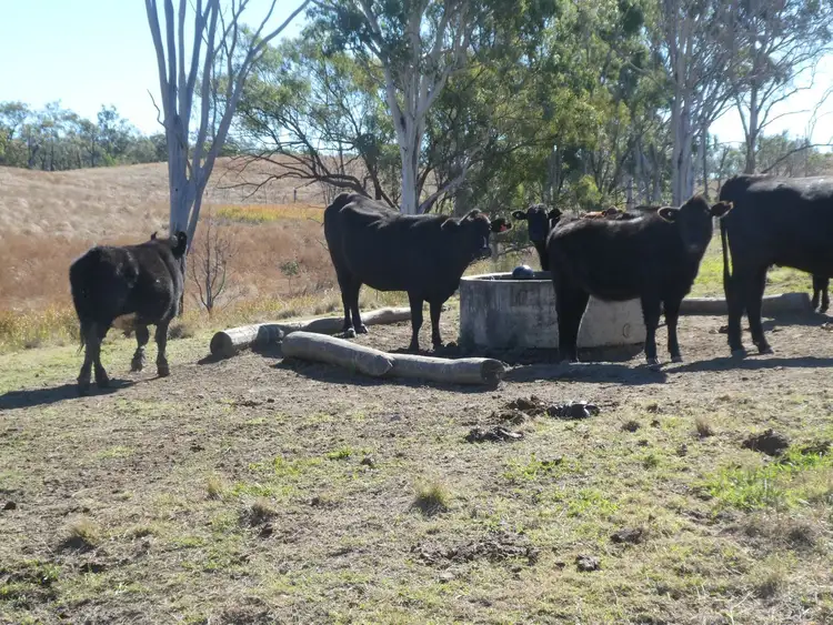 Fourth view of Homely rural property listing, NRN Monto Mount Perry Road, Mungy QLD 4671