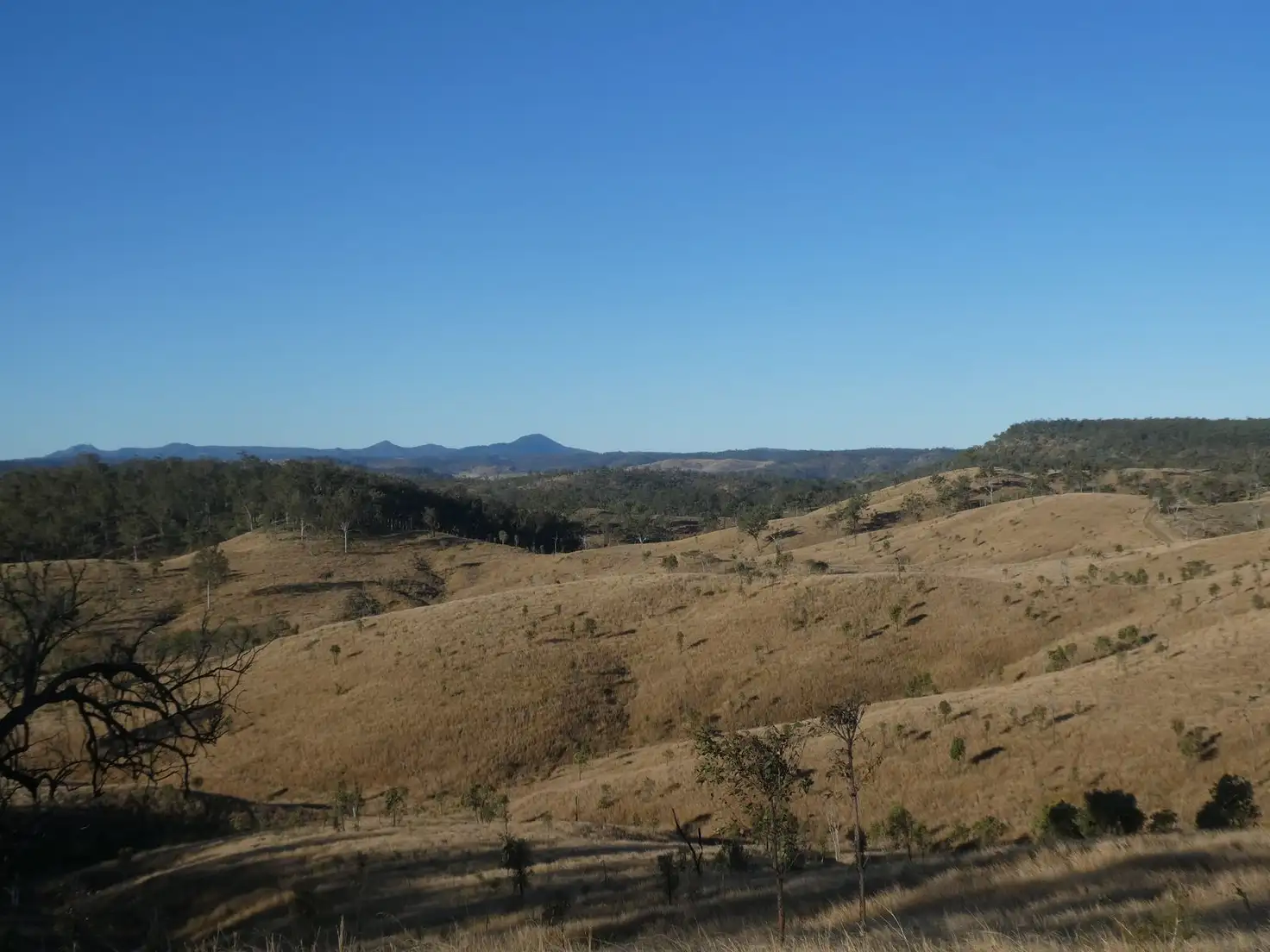 Main view of Homely rural property listing, 4 Lots Monto Mount Perry Road, Mungy QLD 4671