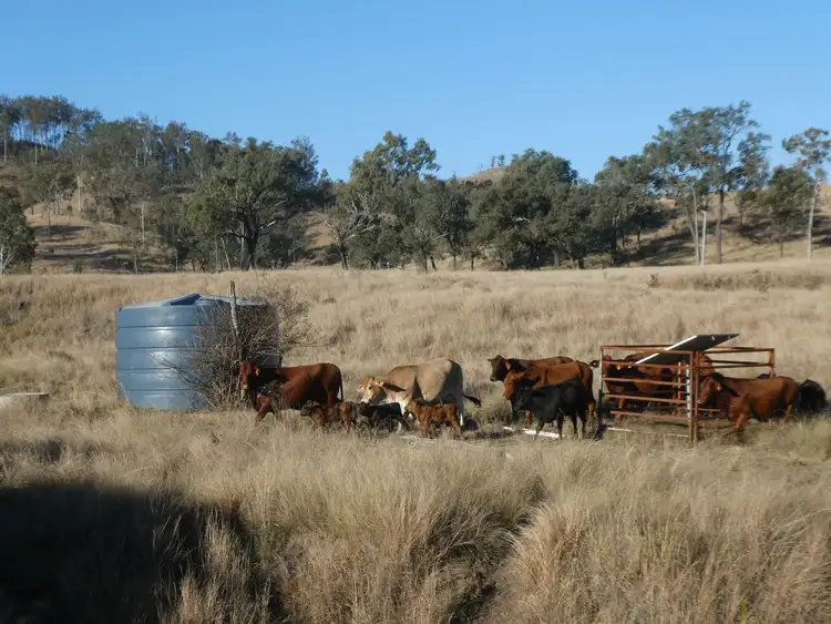 Sixth view of Homely rural property listing, 4 Lots Monto Mount Perry Road, Mungy QLD 4671