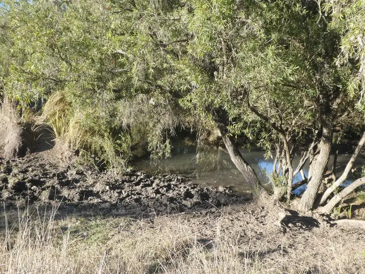 Seventh view of Homely rural property listing, 4 Lots Monto Mount Perry Road, Mungy QLD 4671