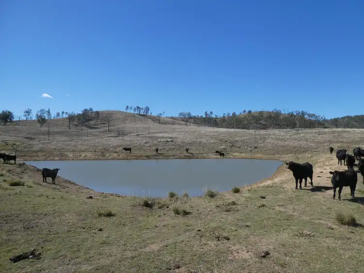 Seventh view of Homely rural property listing, 59 Mungy Road, Mungy QLD 4671
