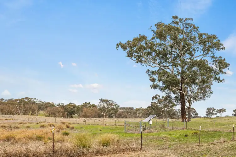 Sixth view of Homely house listing, 482 WALLS JUNCTION ROAD, Bowning NSW 2582