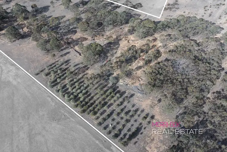 Second view of Homely rural property listing, Old Sandy Creek Road, Moolerr VIC 3477