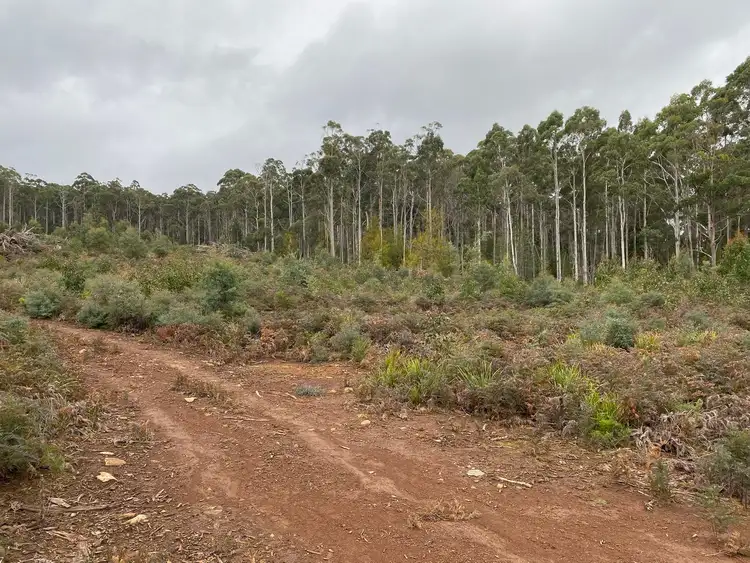 218 Farrells Road, Reedy Marsh TAS 7304