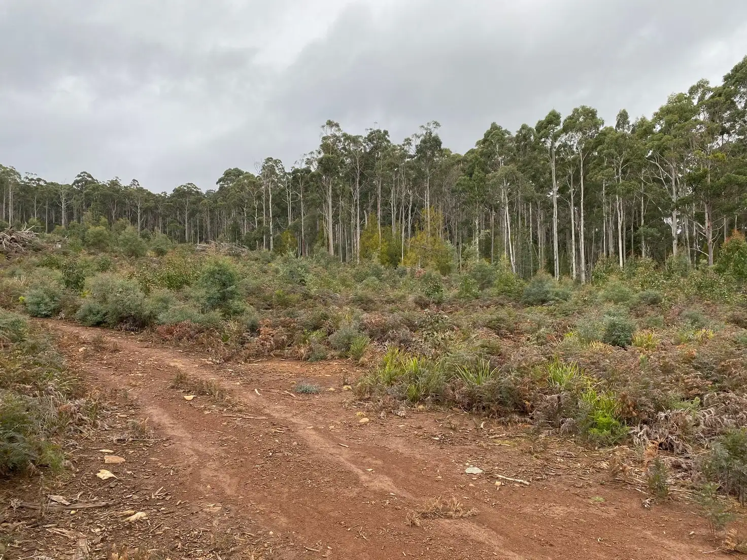 Main view of Homely land listing, 218 Farrells Road, Reedy Marsh TAS 7304