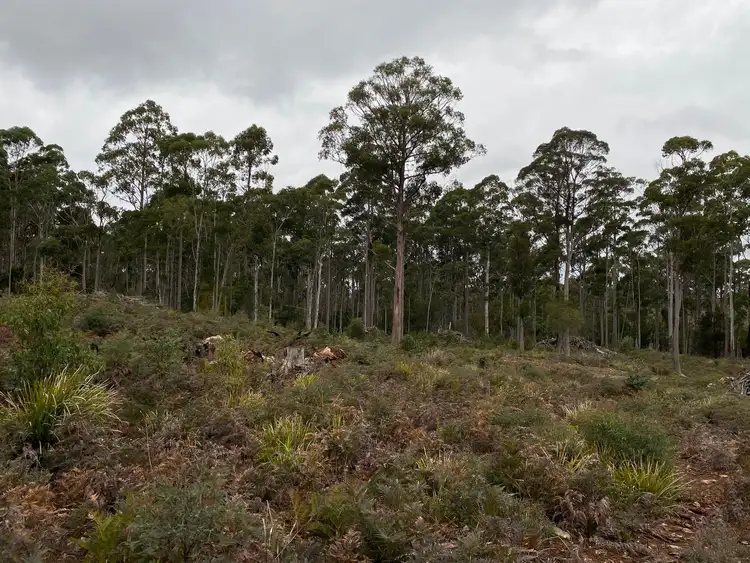 Third view of Homely land listing, 218 Farrells Road, Reedy Marsh TAS 7304