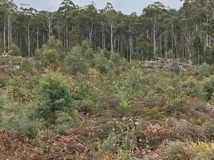 Fifth view of Homely land listing, 218 Farrells Road, Reedy Marsh TAS 7304