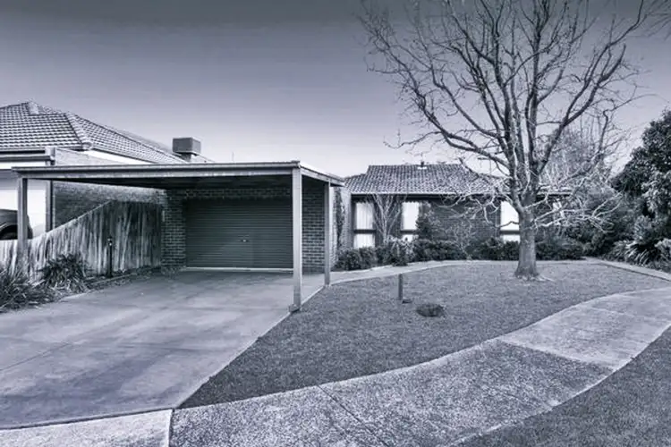 12 Brigalo Court