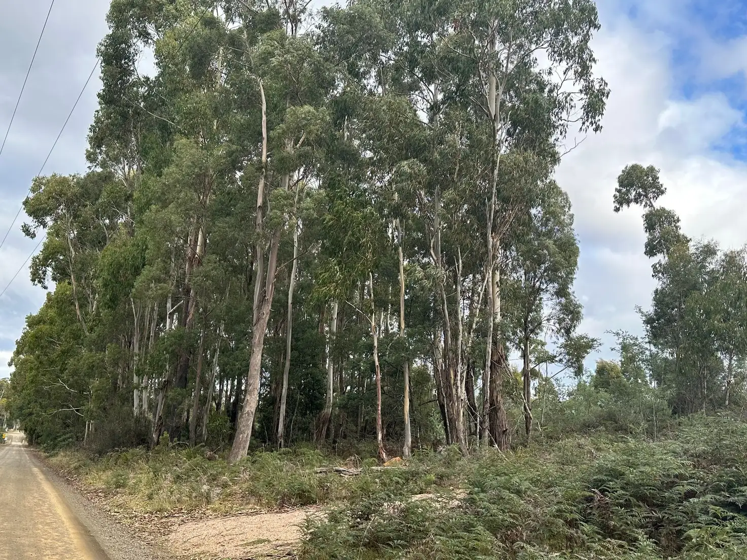 Main view of Homely land listing, 41 Wadleys Road, Reedy Marsh TAS 7304